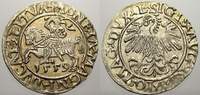 Polen-Litauen Halbgroschen Sigismund August 1544-1572.