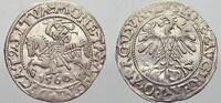 Polen-Litauen Halbgroschen Sigismund August 1544-1572. -