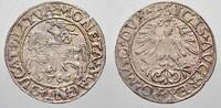 Polen-Litauen Halbgroschen Sigismund August 1544-1572. -