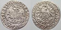 Polen-Litauen Halbgroschen 1559 Sigismund August 1544-1572. Sehr schön-vorzüglich
