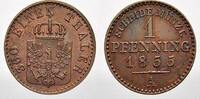 Brandenburg-Preußen Cu Pfennig 1855 A Friedrich Wilhelm IV. 1840-1861. Vorzüglich