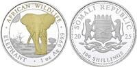 Somalia 100 Shillings 2025 African Wildlife - Elephant - Golden Enigma. ... 95,00 EUR  zzgl. 5,00 EUR Versand