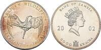 Zambia 5000 Kwacha African Wildlife - Elephant. -