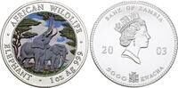 Zambia 5000 Kwacha African Wildlife - Elephant. -