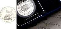 USA Dollar -