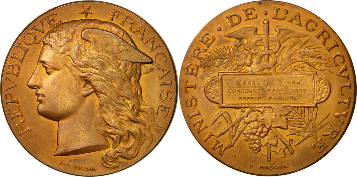 MEDAILLE 1886 PERPIGNAN FRANCOIS ARAGO / PROJET FONTINAL / 29mm 7.25g