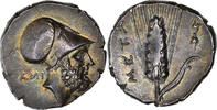 Nomos ca. 340-330 BC Metapontum  Lucania, Metapontum, Silber, NGC, AU 4/5-4/5 AU