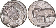 Distater Lucania, Thourioi, Pedigree, Silber, SS+, HGC:1-1256 -