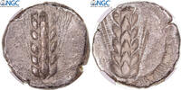 Stater Münze, Lucania, Metapontion, graded, NGC, Ch VF -