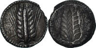 1/3 nomos ca. 540-510 BC Metapontum  Münze, Lucania, Metapontion, SS, Silber SS