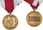 Polen Medaille Mérite pour la Défense Nationale, Classe Bronze -