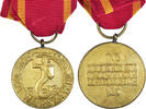 Polen Medaille Varsovie, WAR, Excellent Quality, Gilt Bronze, 33 -