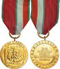 Polen Medaille Maintien de la Paix, WAR, Uncirculated, Gilt Bronze -