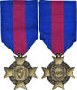 Frankreich Medaille Services Militaires Volontaires, Excellent Quality -