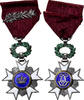 Belgien Medaille Ordre de la Couronne, Léopold II, Palme, Excellent Quality -