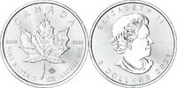 Kanada 5 Dollars 2021 Münze, Maple Leaf, UNZ, Silber