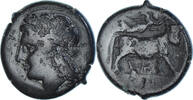 Æ Münze, Campania, Neapolis, S+, Bronze, SNG-Cop:505 -