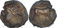 Æ Münze, Campania, Neapolis, SS, Bronze, HGC:1-482 -