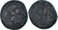 Æ Münze, Campania, Suessa Aurunca, S+, Bronze, HGC:1-510 -