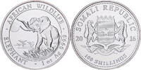 Somalia 100 Shillings Silber, VZ+ -
