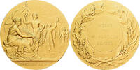 Frankreich Medaille Concours de Tir, Offert par M. Fauchon, Député, Gilt -