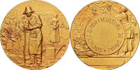 Frankreich Medaille Société d'Horticulture de Douai, Gilt Bronze, Rivet, UNZ -