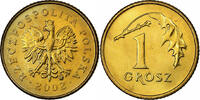 Polen Grosz Warsaw, Messing, STGL, KM:276 -