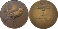 Niederlande Medaille Ministre de la Culture des Pays-Bas, Cyclisme -