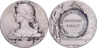 Medaille  Frankreich Comice Agricole de l Arrondissement de Cosne, Silber, SS+ SS+