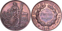 Medaille 1876 Frankreich Comice Agricole de Château-Chinon (Nièvre) VZ