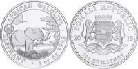 Somalia 100 Shillings Elephant, 1 Oz, Proof, Silber, STGL -