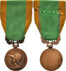 Frankreich Medaille Aux Défenseurs de la Patrie, Excellent Quality, Bronze -