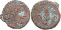 Æ Münze, Lucania, Metapontion, S, Bronze, HN Italy:1695 -