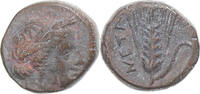 Æ Münze, Lucania, Metapontion, S+, Bronze, HN Italy:1695 -