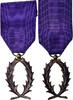 Frankreich Medaille Ordre des Palmes Académiques, Excellent Quality, Silvered -