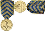 Frankreich Medaille Commémorative d'Afrique du Nord, Excellent Quality, Gilt -
