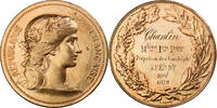 Frankreich Medaille Instruction Public, Cours d'Adulte, Bronze -