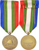 Frankreich Medaille Union Nationale des Combattants, Medal, Excellent Quality, Bronze -