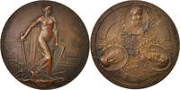 Österreich Medaille 100th Napoleonic campaign anniversary, Bronze -