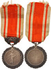 Frankreich Medaille Medal of Honour for Public Hygiene, Politics, Society, War, Medal -