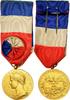 Frankreich Medaille Médaille d'honneur du travail, Excellent Quality -