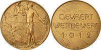 Deutschland Medaille Gevaert Wettbewerb, Berlin, C.Stoeving, VZ+, Bronze -