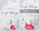 South Georgia and the South Sandwich Islands 50 Pence Münze, Angel Wings -