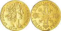 Frankreich Louis d'Or Louis XIII, Paris, Collection Docteur F., Gold -