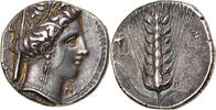 Nomos Lucania, Metapontum, Silber, NGC -