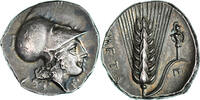 Nomos ca. 330-290 BC Metapontum  Lucania, Metapontum, Silber, NGC, HGC:1-1065 AU 3/5-4/5
