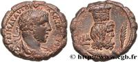 THE SEVERANS (193 AD to 235 AD) Tétradrachme ALEXANDER SEVERUS Alexandrie, Égypte 231-232 (22,5mm, 12,42g, 12h) -
