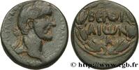 THE ANTONINES (96 AD to 192 AD) Unité ANTONINUS PIUS Beroea, Syrie, Cyrrhestica c. 138-161 (22,5mm, 9,02g, 12h) -