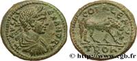 THE SEVERANS (193 AD to 235 AD) Tetrassaria ALEXANDER SEVERUS Alexandrie,Troade 222-235 (23,5mm, 8,38g, 6h) -