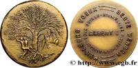 FRANKREICH Médaille, Meilleurs voeux, bibliothèque royale BELGIQUE - ROYAUME DE BELGIQUE - ALBERT Ier n.d. (31mm, 12,70g, 12h) -